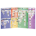 Junior Learning Junior Learning 44 Sounds Chart 262